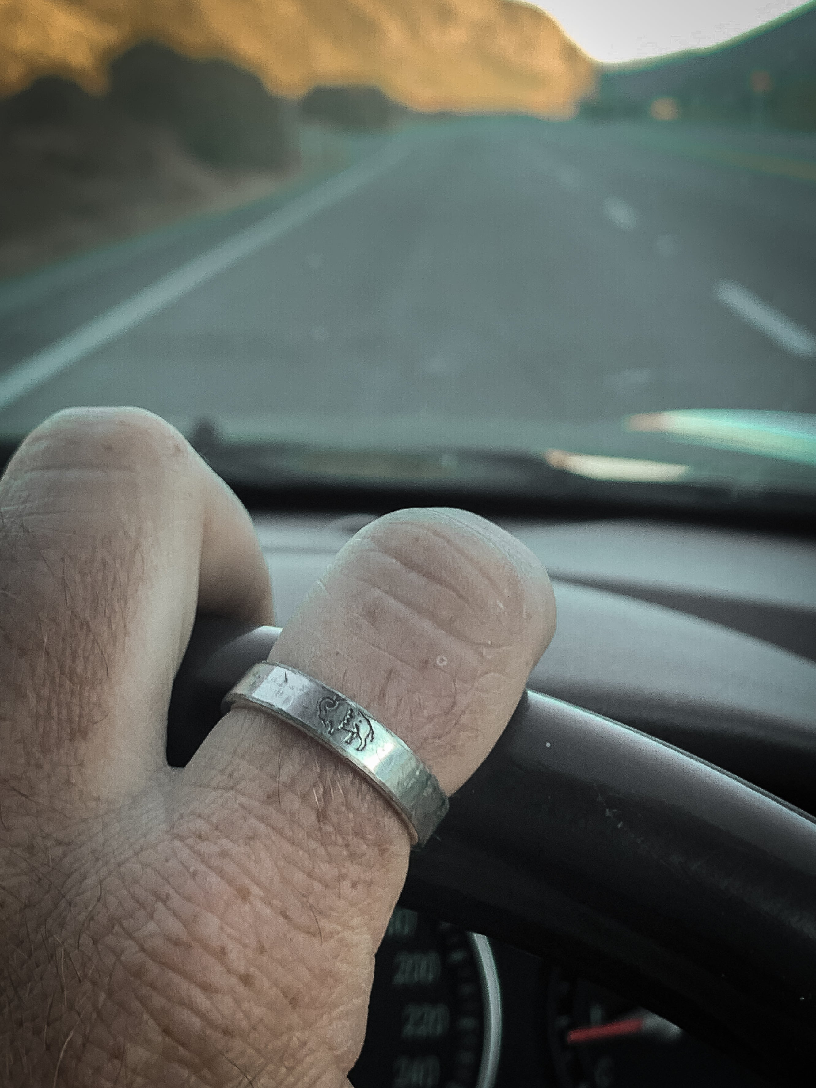 The Wild Bison Ring